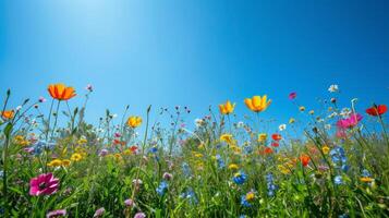 ai gerado uma vibrante Prado pontilhado com flores silvestres contra uma Claro azul céu comemora a chegada do Primavera foto