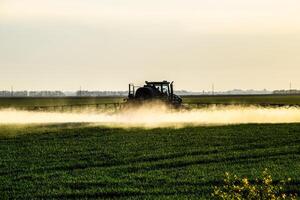 jatos do líquido fertilizante a partir de a trator pulverizador. foto