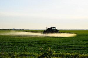 trator com a Socorro do uma pulverizador sprays líquido fertilizantes em jovem trigo dentro a campo. foto