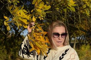 menina dentro oculos escuros. menina em uma fundo do amarelo folhas do outono árvores outono foto sessão.