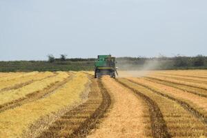 combinar colheitadeiras vestir. agrícola maquinaria. foto