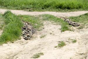 poços em a estrada estão preenchidas com pedras. pedreira pedra. foto