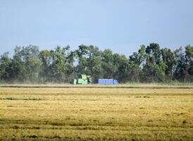 combinar colheitadeiras. agrícola maquinaria. foto