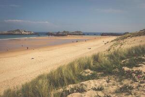 cuarezo de praia dentro não. santander. Cantábria. Espanha. Europa. foto