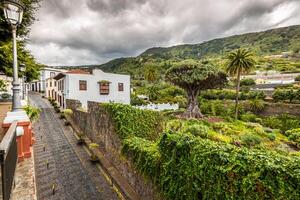 famoso Dragão árvore dragão milenário dentro icod de los Vinos tenerife, canário ilhas foto