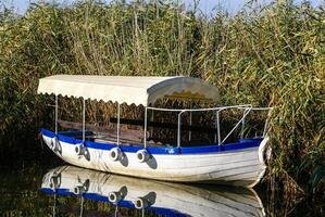 Ohrid lago. pescaria barcos com a Visão do a velho Cidade do Ohrid dentro a fundo. foto