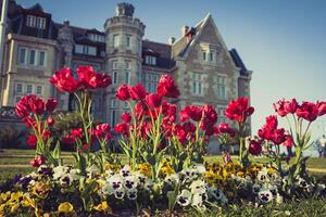 agradável Madalena Palácio dentro santander, Espanha foto