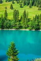 bela vista montanha lago. steg, malbun em lichtenstein, europa foto