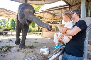 uma homem com pequeno filha alimentando elefante , viagem conceito. tailândia, Ásia. Alto qualidade foto