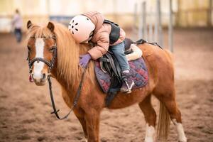pequeno criança equitação lição. criança de três anos menina passeios uma pónei e faz exercícios. Alto qualidade foto
