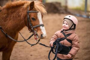 retrato do pequeno menina dentro protetora Jaqueta e capacete com dela Castanho pónei antes equitação lição. Alto qualidade foto