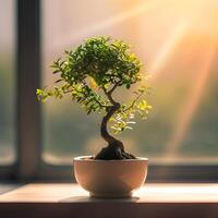 ai gerado bonsai árvore dentro uma minimalista planta de casa Panela foto