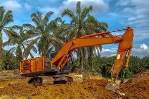 escavadora dentro Palma óleo plantações foto