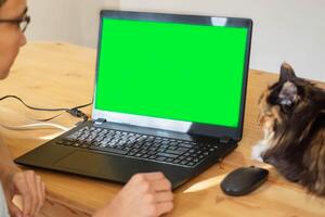 jovem mulher usando dela computador portátil com verde tela. casa escritório escrivaninha com gato. croma chave. foto