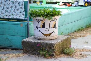 arte Projeto do a Panela com a plantar. sorrir com uma flor em a Panela. casa Diversão. foto