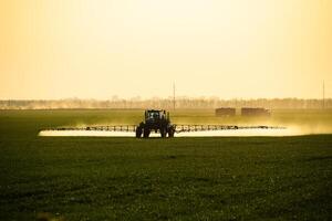 trator com a Socorro do uma pulverizador sprays líquido fertilizantes em jovem trigo dentro a campo. foto