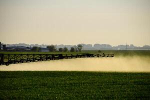 trator com a Socorro do uma pulverizador sprays líquido fertilizantes em jovem trigo dentro a campo. foto