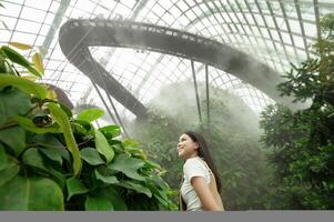 uma mulher dentro nuvem floresta cúpula meio Ambiente dentro Cingapura foto