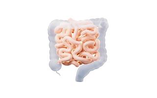 intestinal trato com digestivo saúde conceito, 3d Renderização. foto
