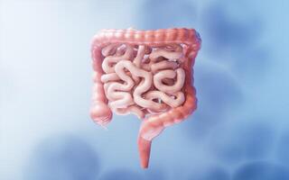 intestinal trato com digestivo saúde conceito, 3d Renderização. foto