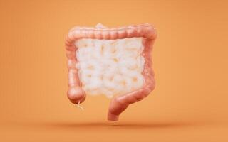 intestinal trato com digestivo saúde conceito, 3d Renderização. foto