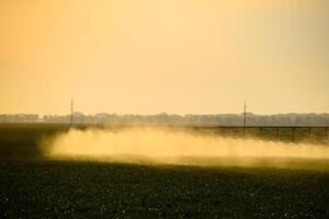 jatos do líquido fertilizante a partir de a trator pulverizador. foto