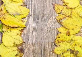 outono amarelo bordo folhas em uma de madeira fundo. foto