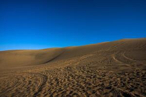 2023 8 13 Peru deserto dunas 12 foto