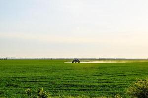 trator com a Socorro do uma pulverizador sprays líquido fertilizantes em jovem trigo dentro a campo. foto