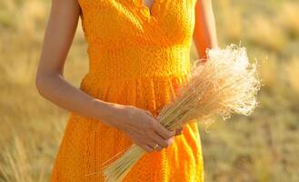 fechar-se do uma mulher dentro a laranja vestir com uma ramalhete do campo Relva dentro uma campo às pôr do sol. foto