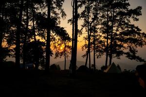 manhã Visão em a montanha, natureza, doi ang khang, Tailândia foto