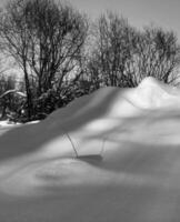 neve cenário panorama foto