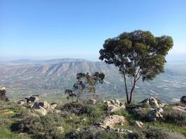 paisagens incríveis de israel, vistas da terra sagrada foto