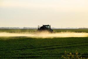 trator com a Socorro do uma pulverizador sprays líquido fertilizantes em jovem trigo dentro a campo. foto