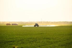 trator com a Socorro do uma pulverizador sprays líquido fertilizantes em jovem trigo dentro a campo. foto