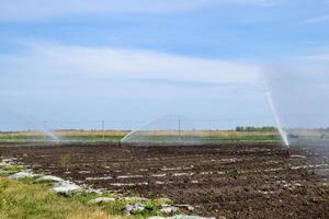 irrigação sistema dentro campo do melões. rega a Campos. aspersor foto