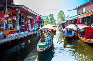 Dal lago e a lindo montanha alcance dentro a fundo, dentro a verão barco viagem, do cidade srinagar Caxemira Índia. foto