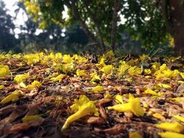 natureza papel de parede para Área de Trabalho panorama capturar foto