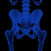 raio X visão, de a humano corpo e ossos. foto