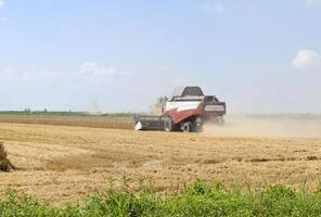 combinar colheitadeiras torum. agrícola maquinaria. foto