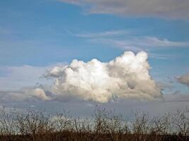 outono panorama dentro a floresta e céu com nuvens. foto