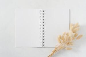 em branco branco espiral caderno com natural seco Coelho rabo Relva ramalhete em branco fundo. topo Visão imagem. feminino estilizado estoque fotografia para blog Postagens e social meios de comunicação contente. foto