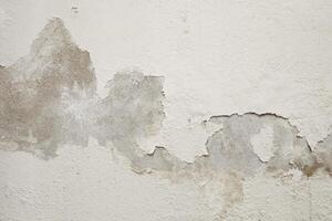branco cimento parede com descamação pintura causou de Aumentar úmido foto