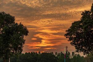 belo pôr do sol no campo foto