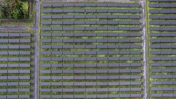 solar poder Fazenda a partir de zangão vista, verde energia tecnologia foto