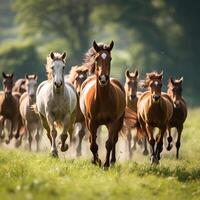 ai gerado uma rebanho do cavalos galope ao longo uma país estrada. gerado de artificial inteligência foto