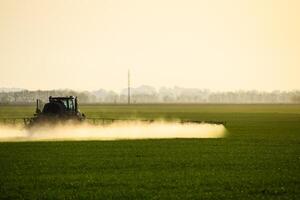 trator com a Socorro do uma pulverizador sprays líquido fertilizantes em jovem trigo dentro a campo. foto