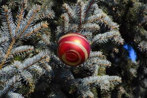 decorações Novo ano árvore. ouropel e brinquedos, bolas e de outros decorações em a Natal Natal árvore em pé dentro a aberto ar. foto