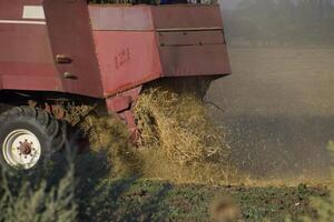 a velho combinar colheitadeira colheitas trigo. agrícola maquinaria. foto