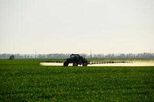 trator com a Socorro do uma pulverizador sprays líquido fertilizantes em jovem trigo dentro a campo. foto